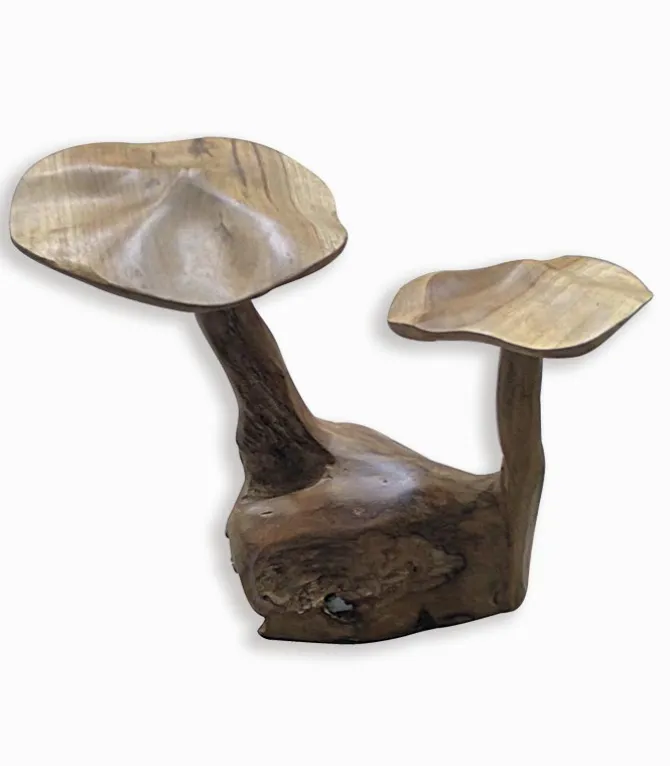 Champignons en Teck